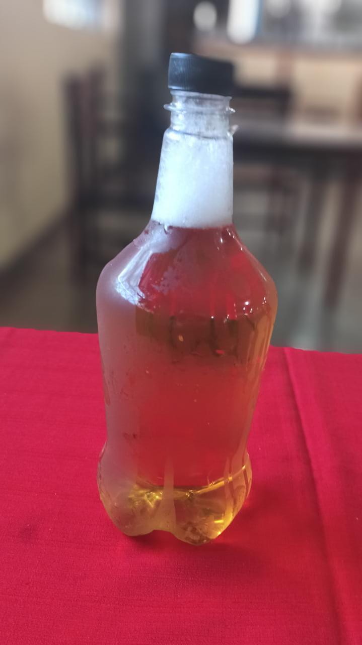 Chopp Antártica 